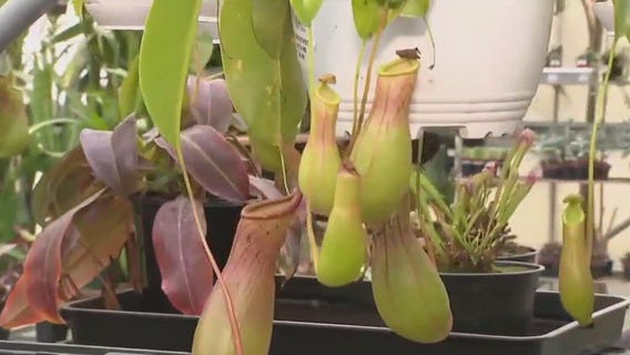 Improve air quality in your home