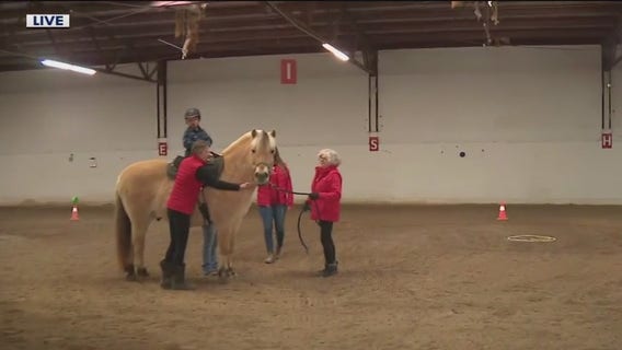 LifeStriders is a non-profit organization