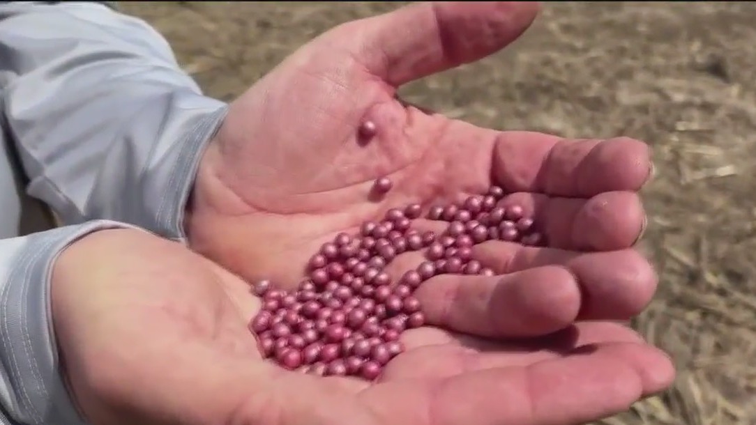 Trump tariffs impact on WI soybean farmers