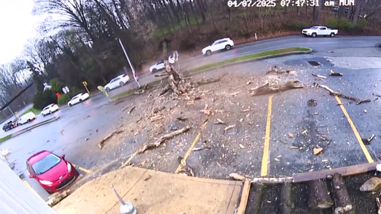 FOX6 Noticias: Actualizaci?n Diaria (April 9, 2025)