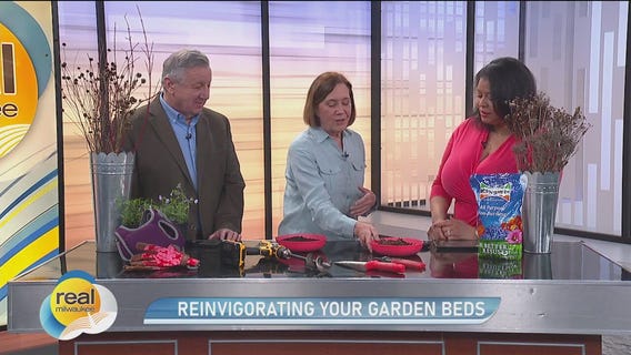 Reinvigorating your garden beds