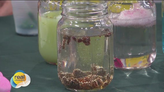 Easy spring experiments for the family