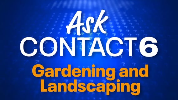 Episode 10: Gardening and landscaping