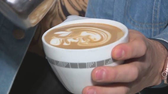 Learn the basics of Latte Art?