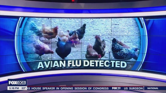 First positive case of bird flu in Delaware announced