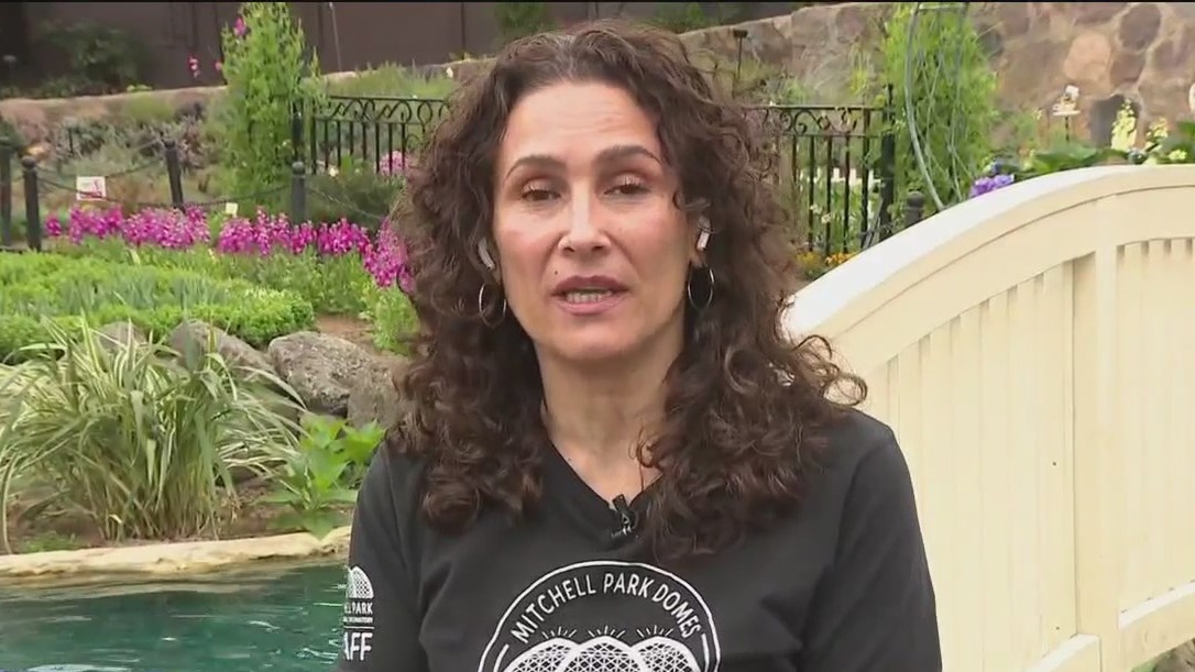 Tea and Tulips spring floral show