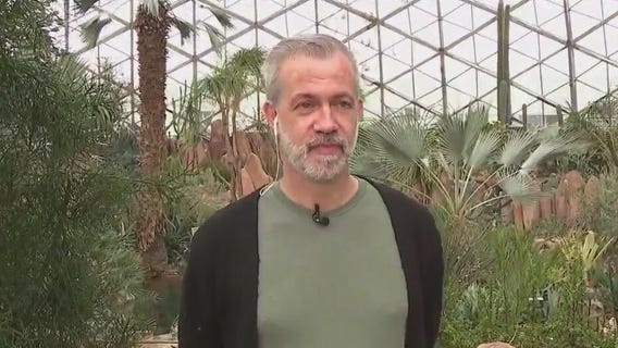 Art in the Green at the Mitchell Park Domes