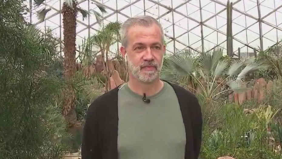 Art in the Green at the Mitchell Park Domes