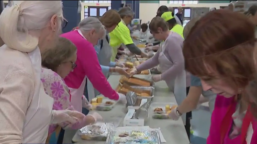 Packing plates for a purpose