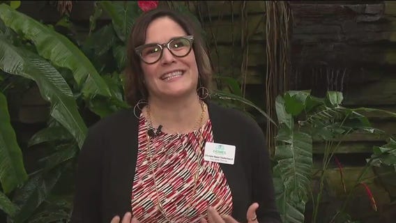 Art in the Green at the Mitchell Park Domes