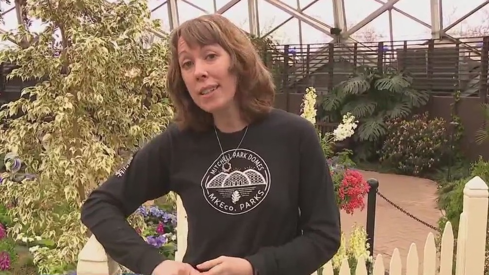 Exploring the spring plants at the Domes