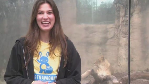 The Great Cat Canyon at the Racine Zoo