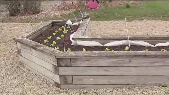 Hunger Task Force Farm's School Garden