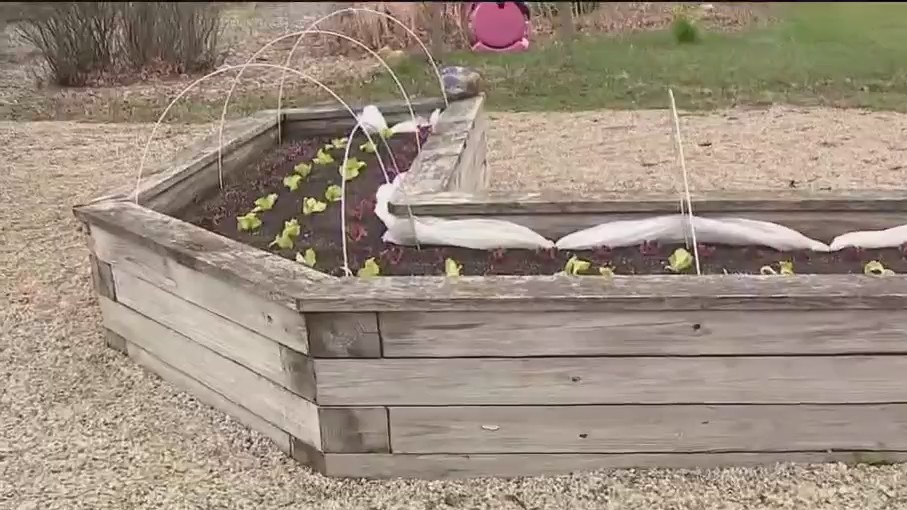 Hunger Task Force Farm's School Garden