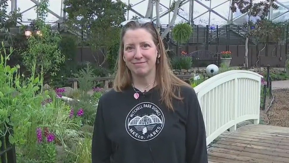 Plant selection at the Mitchell Park Domes