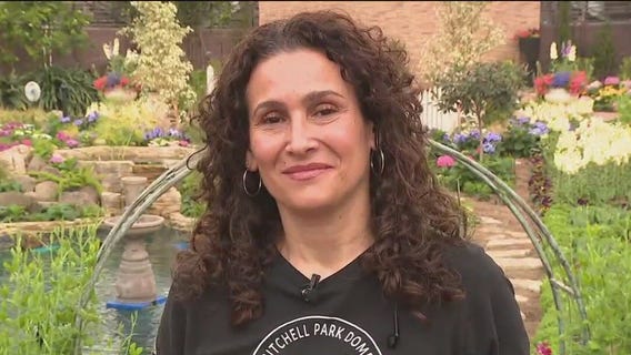 Tea and Tulips at the Mitchell Park Domes