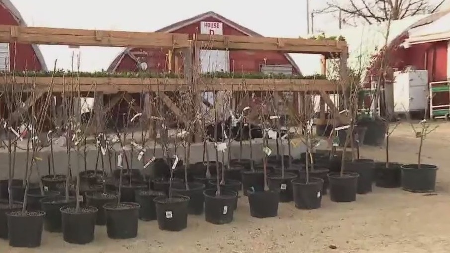 Preview of Spring Ladies Night