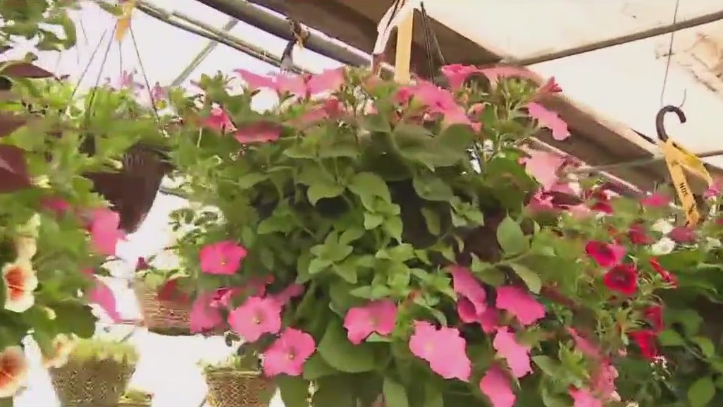 Custom planters and baskets