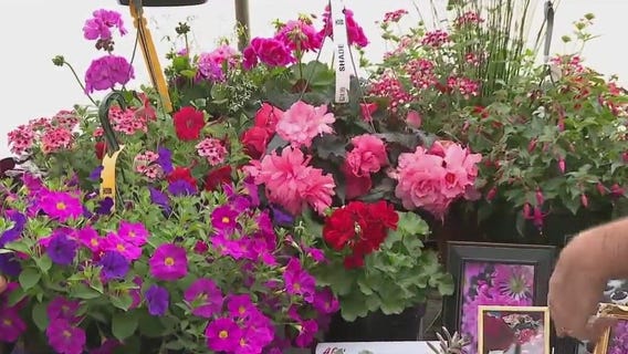 Herbs, veggies, perennials, nursery stock