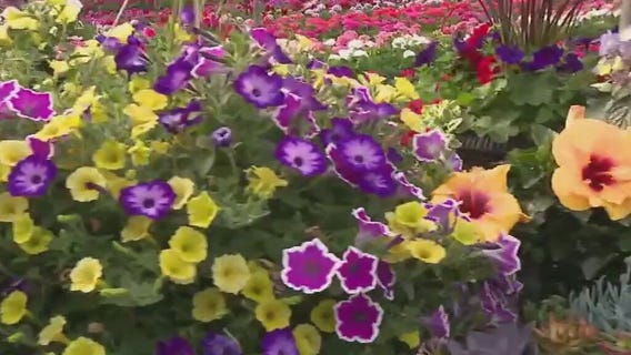 Why moms Love Milaeger?s