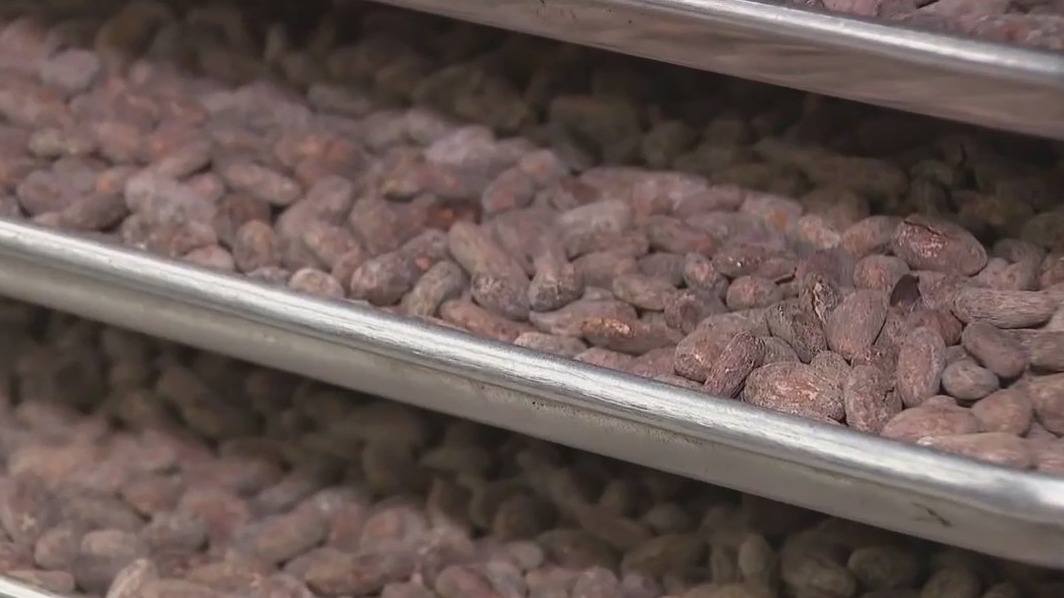 Getting an education in chocolate making