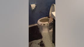 Flooding causes toilet to overflow inside Frederick home