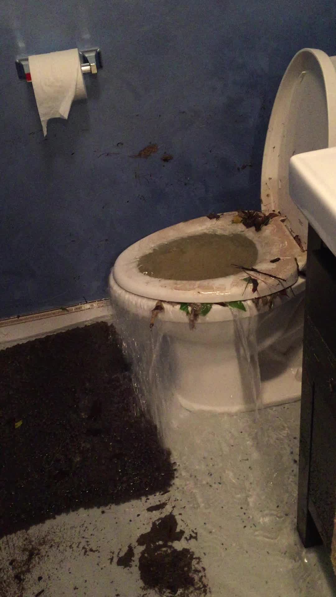 Flooding causes toilet to overflow inside Frederick home