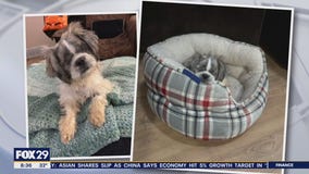 Rescue Me | Meet Mary