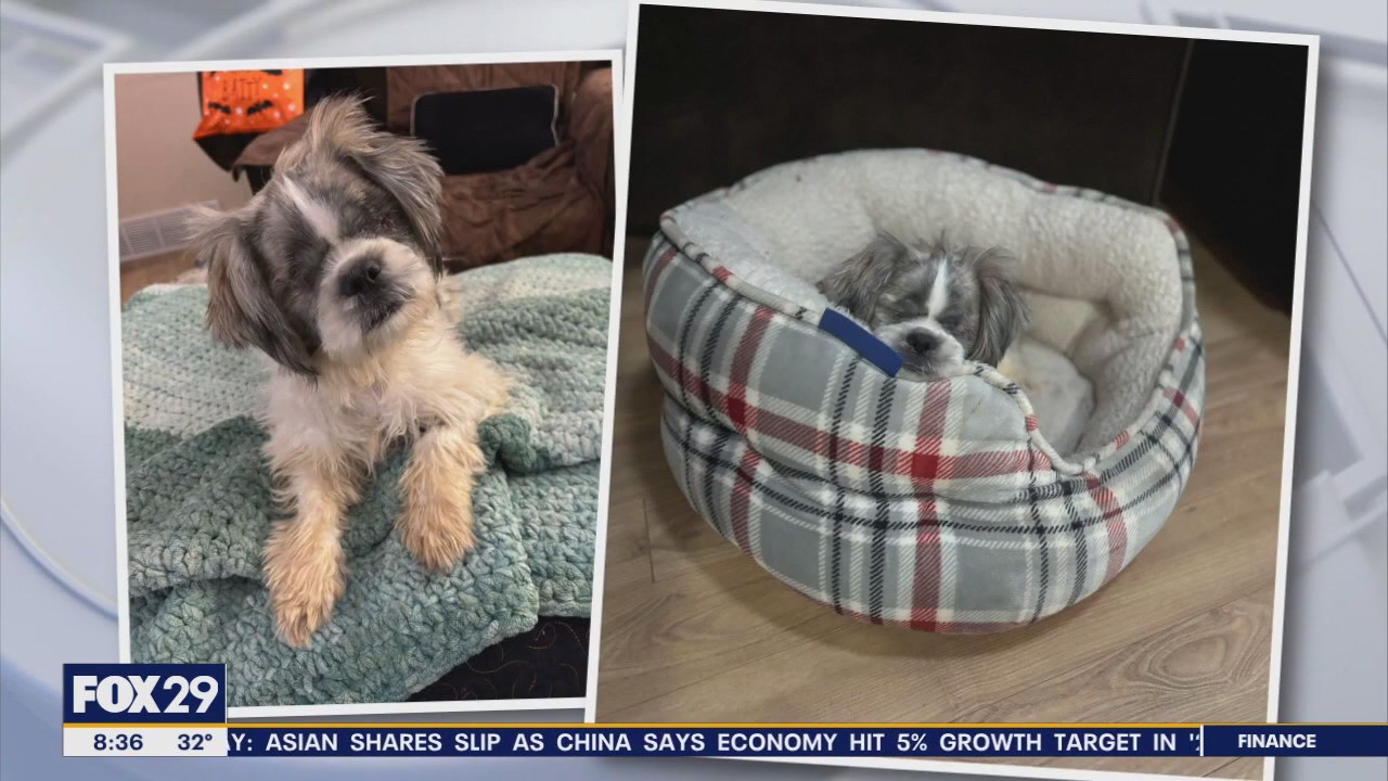 Rescue Me | Meet Mary