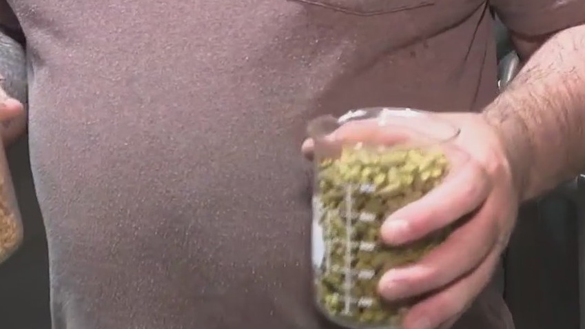 Front-row view of brewing process