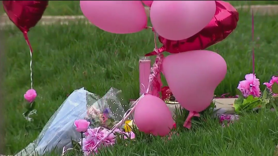 From tragedy to advocacy: Sade Robinson's legacy