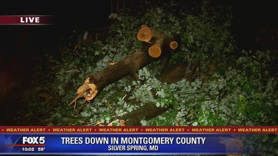 Fallen trees causing storm damage across DC region