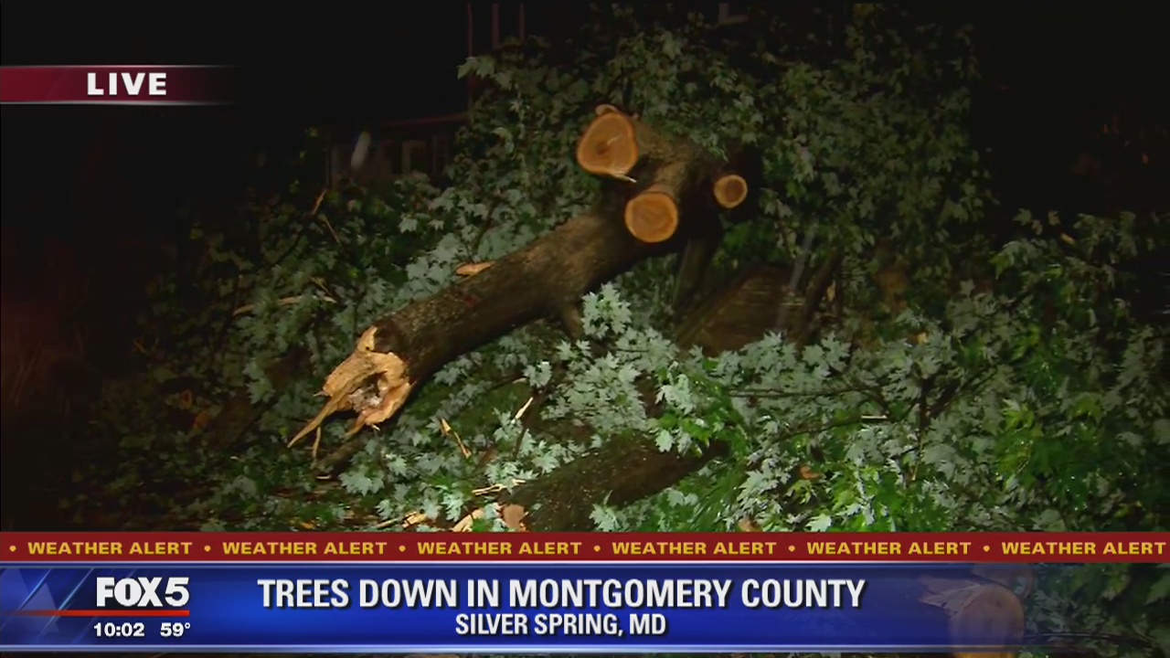 Fallen trees causing storm damage across DC region