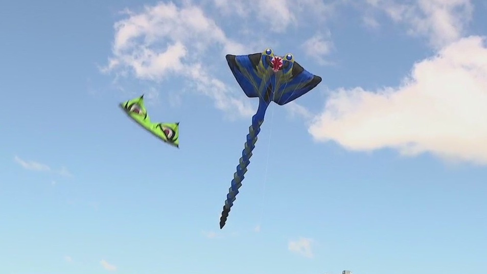 Mad City Kids Mad Dash and IKEA Candy Drop