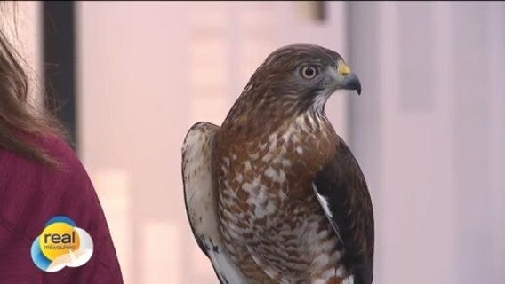 Real Milwaukee | May 23, 2025