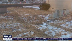South Jersey cemetery desecrated by vehicle