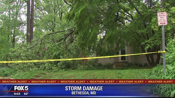 Large tree falls on home in Bethesda