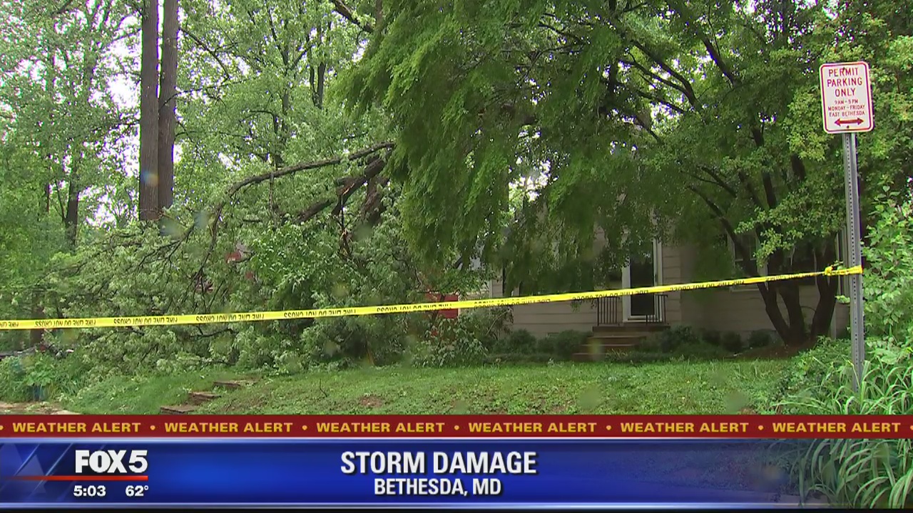 Large tree falls on home in Bethesda