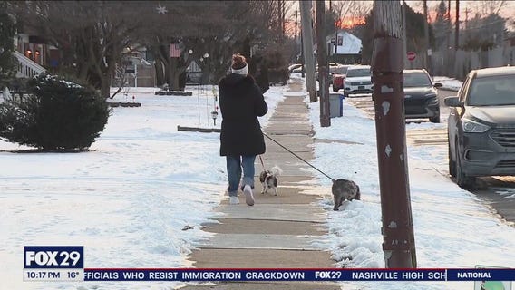 Delco community asking dog owners, walkers to be eyes for police