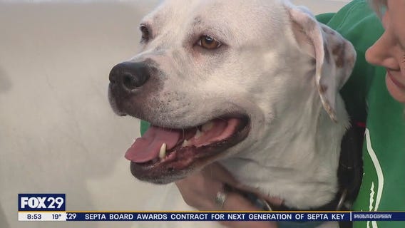 Rescue Me | Meet Ice Spice