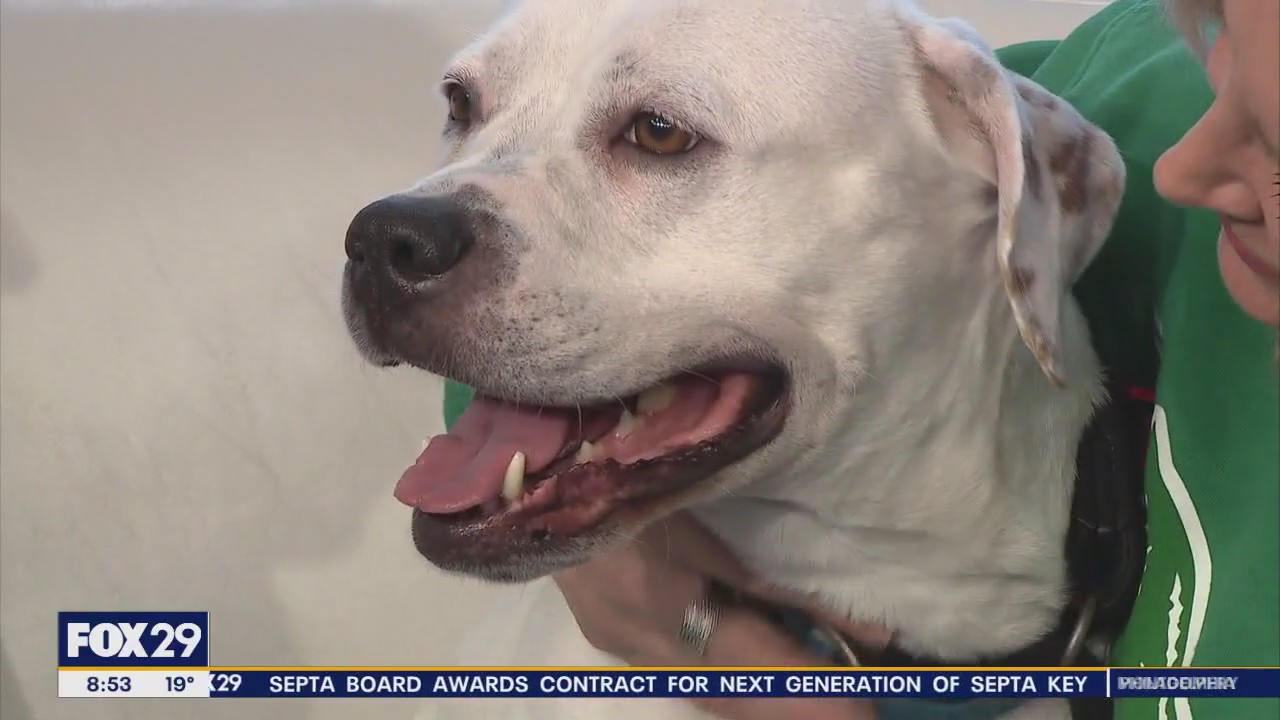 Rescue Me | Meet Ice Spice