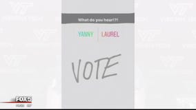 Yanny or Laurel? Linguist explains why people are hearing different words