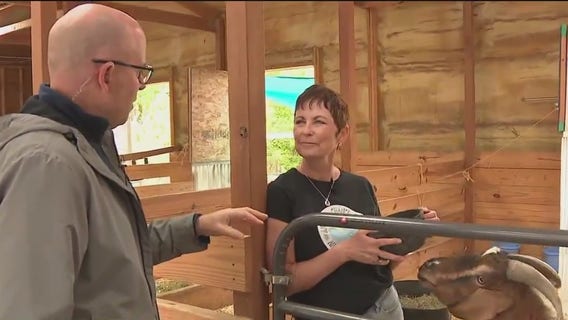 Volunteering at Another Chance Ranch