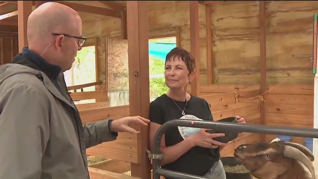 Volunteering at Another Chance Ranch