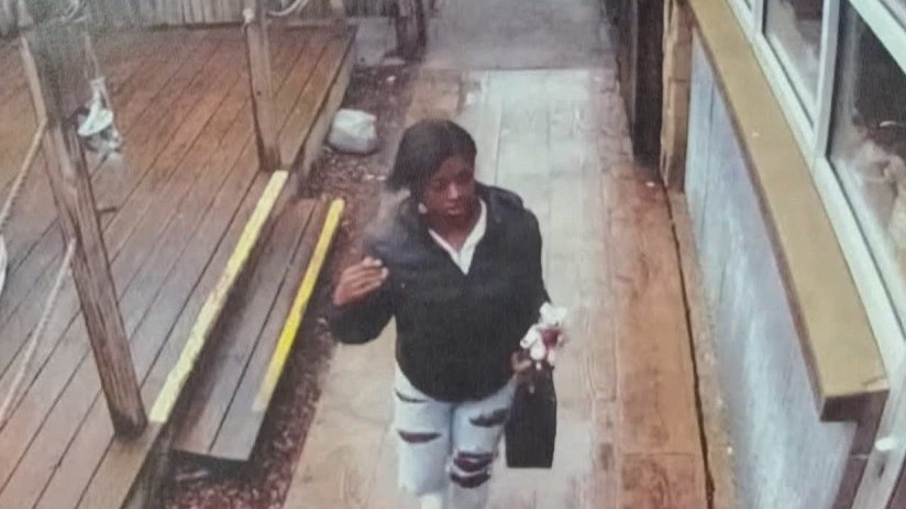 Maxwell Anderson trial: Sade's final hours