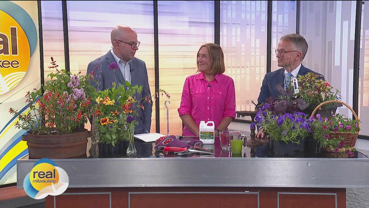 National Pollinator Month; Tips to attract hummingbirds