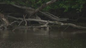 Brown Deer death investigation