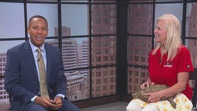 Fun events at the Racine Zoo