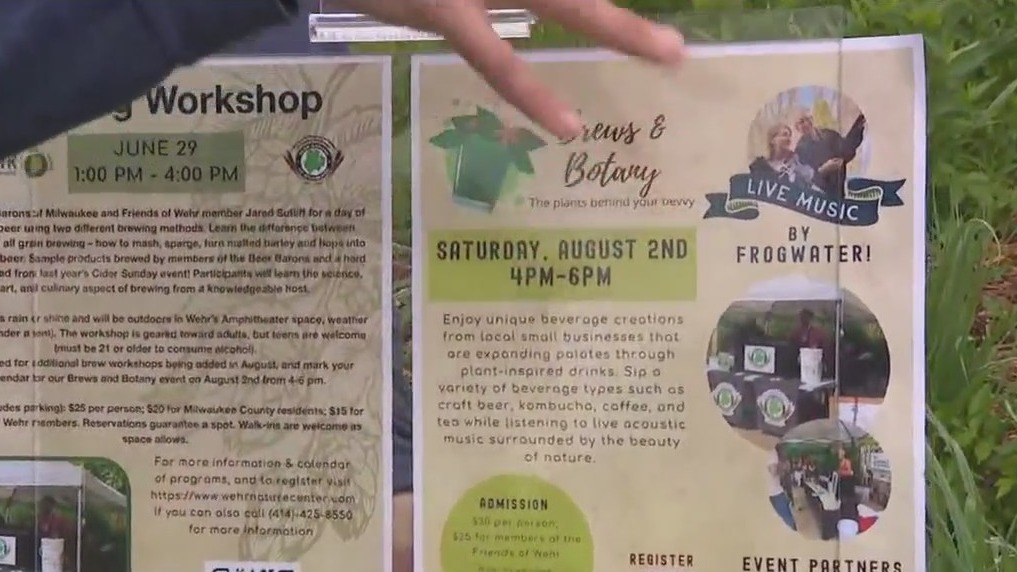 Tiger Salamander at Reptile Day