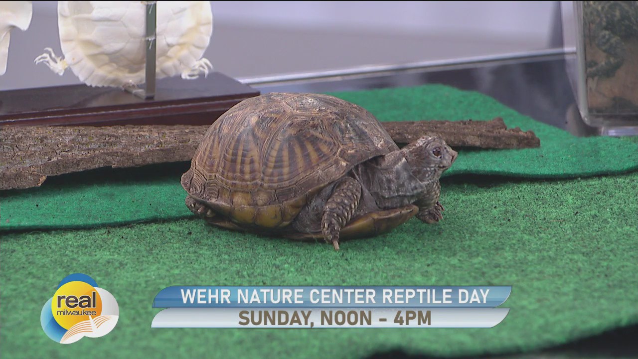 Real Milwaukee | June 4, 2025